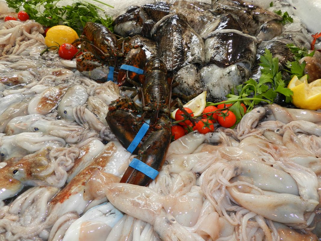 Caratteristiche e proprietà nutrizionali dei calamari